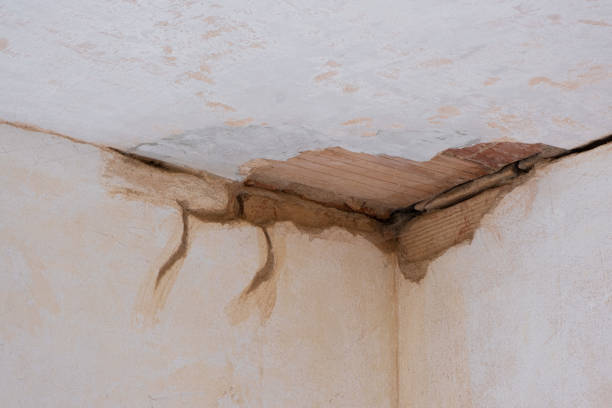 Best 24-hour water damage restoration  in Samsula Spruce Creek, FL