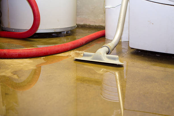Best Fire Damage Restoration  in Samsula Spruce Creek, FL