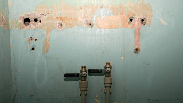 Water damage restoration process in Samsula Spruce Creek, FL