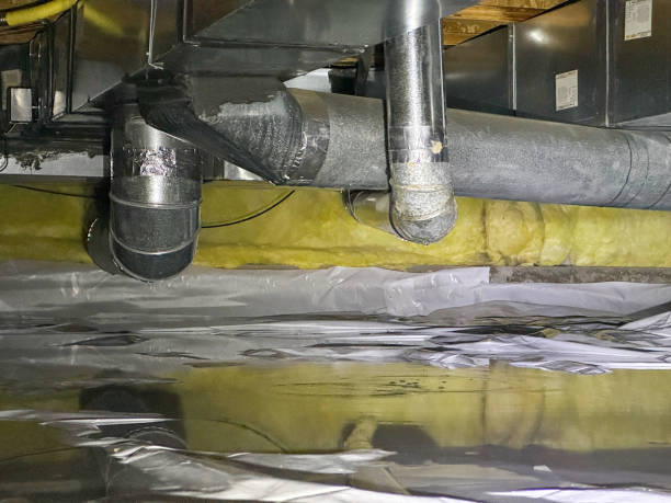 Best Water damage restoration near me  in Samsula Spruce Creek, FL