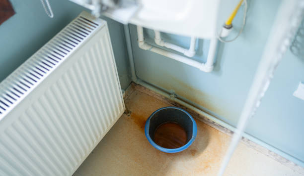 Best Mold removal after water damage  in Samsula Spruce Creek, FL